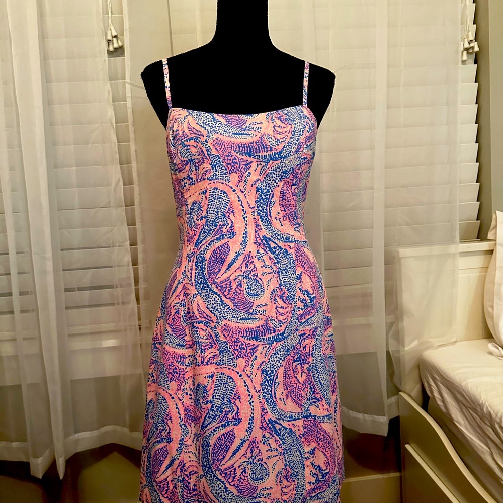 Lily pulitzer sundress. worn once. Excellent condition